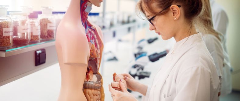 ¿Cómo saber si Medicina es tu carrera ideal?