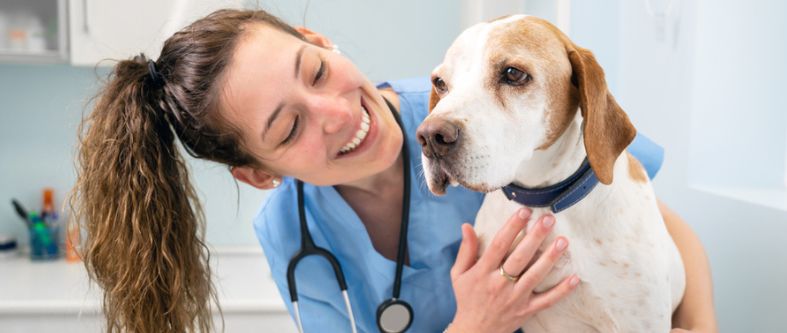 ¿Qué es la Zootecnia, qué hace un zootecnista y por qué podría ser la carrera para ti?