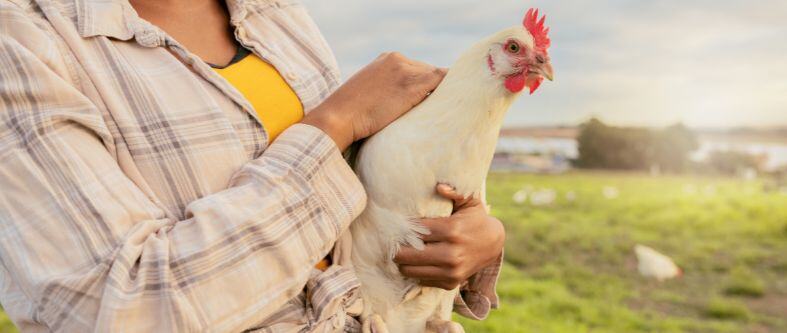 Importancia de la zootecnia en la sostenibilidad