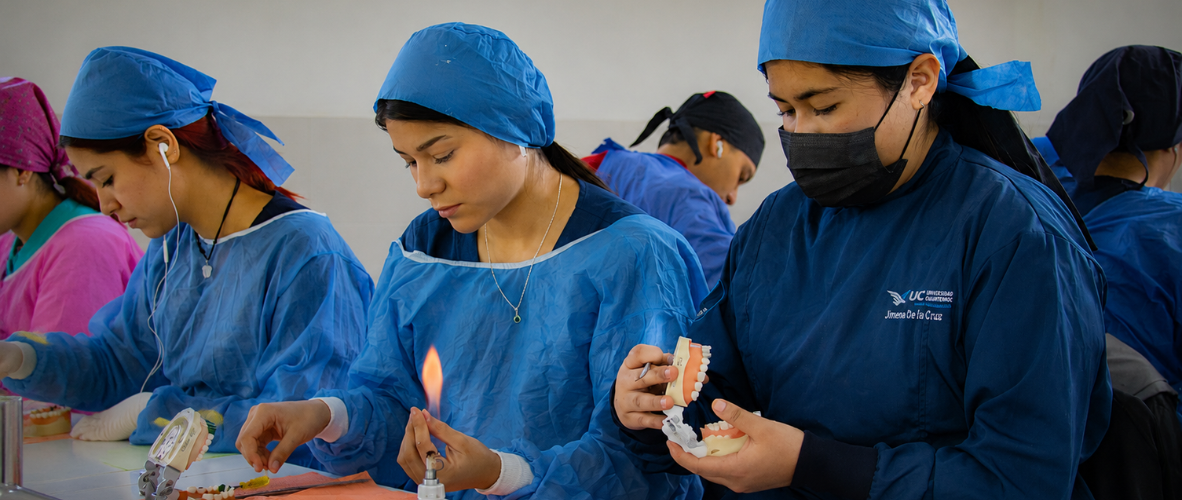 Descubre los materiales para la carrera de odontología